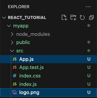 React Project Structure for Adding a Local Image